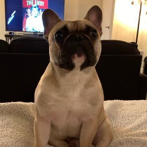 Meet your Posher, Madeleine